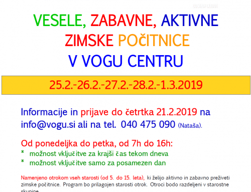 Aktivne zimske počitnice v Vogu centru